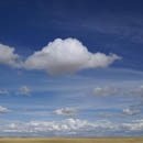 sky f46 S